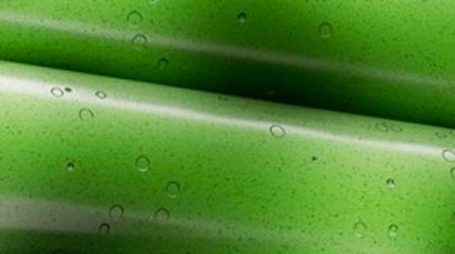 Leadership and Culture